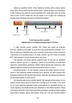 Research Papers 'Proteīnu sintēzes, šūnas funkciju un šūnas vairošanās ģenētiskā kontrole', 13.