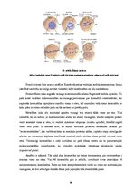 Research Papers 'Proteīnu sintēzes, šūnas funkciju un šūnas vairošanās ģenētiskā kontrole', 19.