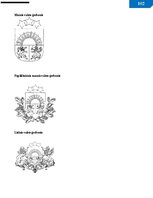 Samples 'Vadlīnijas dokumentu izstrādāšanai un noformēšanai', 103.
