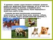 Presentations 'Животные в крестьянском хозяйстве, символика образов, обряды', 2.