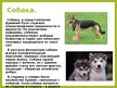 Presentations 'Животные в крестьянском хозяйстве, символика образов, обряды', 7.