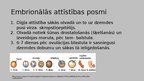 Presentations 'Cilvēka embrionālā attīstība pēc apaugļošanas', 4.