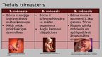 Presentations 'Cilvēka embrionālā attīstība pēc apaugļošanas', 7.