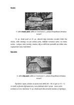 Research Papers 'Latviešu zemnieku celtņu jumtu formas un materiāli no 18.gadsimta sākuma līdz 20', 9.