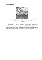 Research Papers 'Latviešu zemnieku celtņu jumtu formas un materiāli no 18.gadsimta sākuma līdz 20', 10.