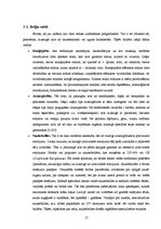 Research Papers 'Briļļu attīstība un modes tendences', 13.