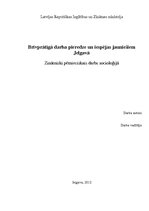 Research Papers 'Brīvprātīgā darba pieredze un iespējas jauniešiem Jelgavā', 1.