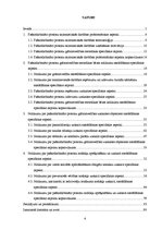 Term Papers 'Pašnodarbinātās personas grāmatvedības metodikas specifiskie aspekti', 4.