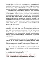 Term Papers 'Pašnodarbinātās personas grāmatvedības metodikas specifiskie aspekti', 11.