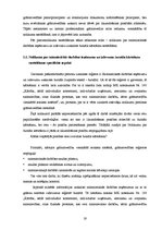 Term Papers 'Pašnodarbinātās personas grāmatvedības metodikas specifiskie aspekti', 19.