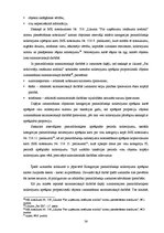 Term Papers 'Pašnodarbinātās personas grāmatvedības metodikas specifiskie aspekti', 38.