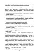 Term Papers 'Pašnodarbinātās personas grāmatvedības metodikas specifiskie aspekti', 43.