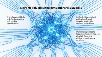 Presentations 'Kādēļ studenti aizmirst pēc eksāmeniem?', 9.