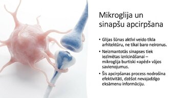Presentations 'Kādēļ studenti aizmirst pēc eksāmeniem?', 11.