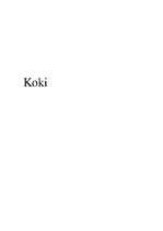 Summaries, Notes 'Koki', 1.