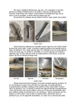 Summaries, Notes 'Metālu ķīmiskā korozija', 8.