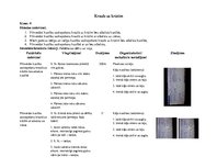 Summaries, Notes 'Stundas konspekts 4.klasei. Krauls uz krūtīm', 1.