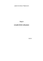 Summaries, Notes 'Computer Viruses', 1.