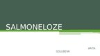 Presentations 'Salmonoloze', 1.