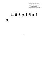 Essays 'A.Pumpurs "Lāčplēsis"', 1.