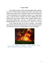 Research Papers 'Meža ugunsgrēku ietekme uz priežu jaunaudžu sanitāro stāvokli', 4.