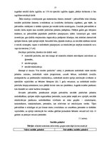 Term Papers 'Bērnu institucionālā aprūpe Latvijā', 57.
