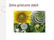 Presentations 'Zelta griezums', 3.