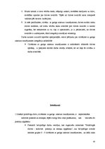 Term Papers 'Brīvprātīgo kustības loma, darbības joma pasaulē un Latvijā', 44.