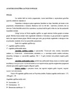 Research Papers 'Pedagogu atalgojums un profesionālā pilnveide Polijā', 24.