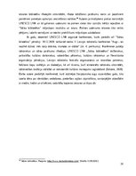 Term Papers 'UNESCO Latvijas Nacionālās komisijas tīkla “Stāstu bibliotēkas” darbība ilgtspēj', 28.