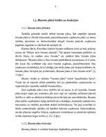 Research Papers 'Biznesa plāna būtība un funkcijas', 3.