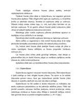 Research Papers 'Biznesa plāna būtība un funkcijas', 6.
