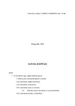 Research Papers 'E- tirdzniecības apgrozījums un attīstība Latvijā (2017.-2020.g)', 2.