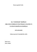 Term Papers 'SIA "Schenker" iekšējās organizatoriskās stratēģijas analīze un tās pilnveidošan', 1.