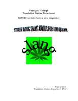 Research Papers 'Street Drug Slang Words for Marijuana', 1.