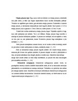Research Papers 'Žogi', 6.