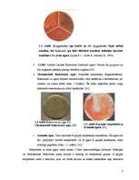 Research Papers 'Ģints "streptococcus" mikroorganismu izolēšana no patoloģiskā materiāla un ident', 6.