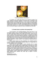 Business Plans 'Komerciāla intensīva tipa augļu - ogu dārza projekts', 22.