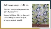 Presentations 'Pagarināts salmiņš', 7.