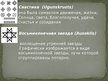 Presentations 'Латвийские украшения. Железный век', 24.