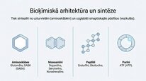 Presentations 'Neiromediatori', 4.