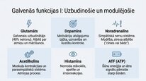 Presentations 'Neiromediatori', 6.