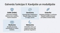 Presentations 'Neiromediatori', 7.