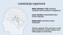 Presentations 'Neiromediatori', 8.