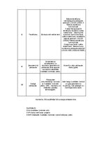 Practice Reports 'Detalizēts Kvalitātes Nodrošināšanas plāns Betona un dzelzsbetona konstrukcijas', 54.