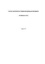 Term Papers 'Gultu ražošanas tehnoloģiskais projekts', 1.