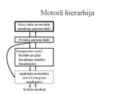 Presentations 'Kustību un pozas regulācija', 6.