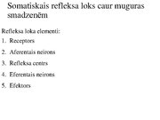 Presentations 'Kustību un pozas regulācija', 8.