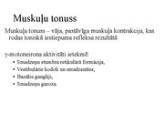 Presentations 'Kustību un pozas regulācija', 18.