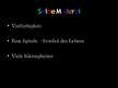 Presentations 'Friedensreich Hundertwasser', 3.